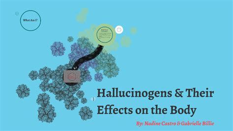 Hallucinogens And Their Effects On The Body By