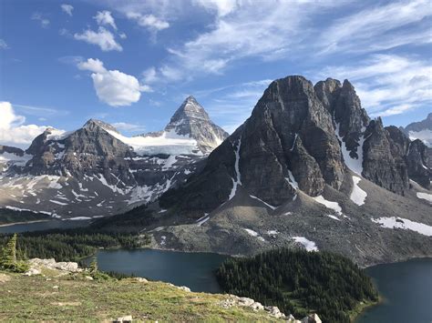 Mount Assiniboine In The Distance As Seen From The Nublet Trail Near