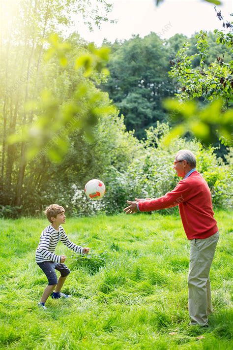 Grandfather And Grandson Playing Stock Image F0150744 Science