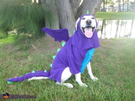 Homemade Dragon Dog Costume Photo 35