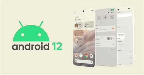 Vivo Y19 Android 12 Beta Güncellemesini Aldı