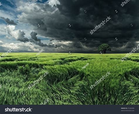 Dark Clouds Over The Field Stock Photo 27226399 Shutterstock