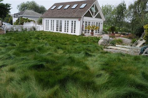 The Best “no Mow” Grasses — Inside Out