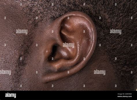 Black Man Ear Close Up African American Ear Lobe Hear And Listen