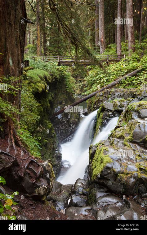 Sol Duc Falls In The Sol Duc River Valley Sol Duc Valley Washington