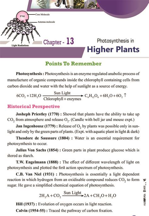 Photosynthesis in Higher Plants Class 11 Notes PDF उचच पदप म