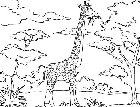 Africa are property and copyright of their owners. African Safari Coloring Pages Printable | Free Coloring Sheets