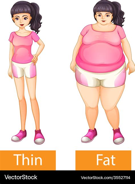 opposite adjectives words with thin and fat vector image