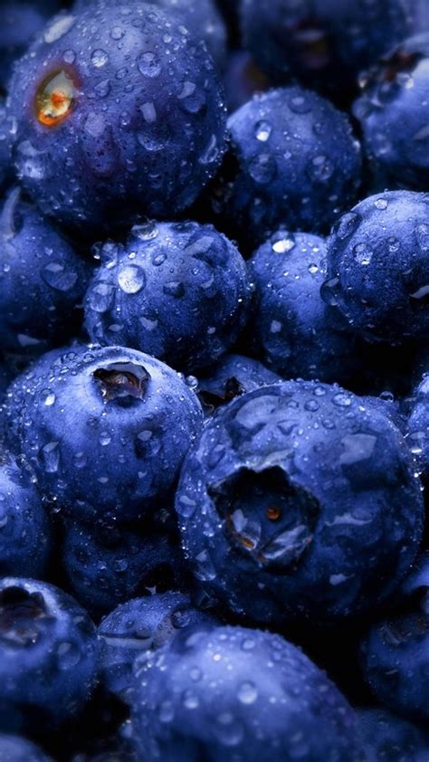 Blueberry Forest Fruits Best Htc One Wallpapers