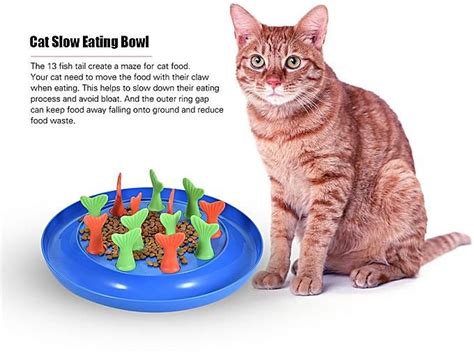 Automatic cat feeders can be programmed to serve food at set times and in set quantities. Generic Cat Slow Feeder Bloat Stop Bowl Puzzle Food ...