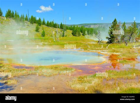 Upper Geyser Basin Valley Of Yellowstone National Park Wyoming Stock