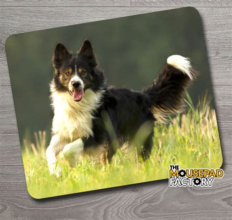 Border Collie Dog Mouse Pad The Mousepad Factory