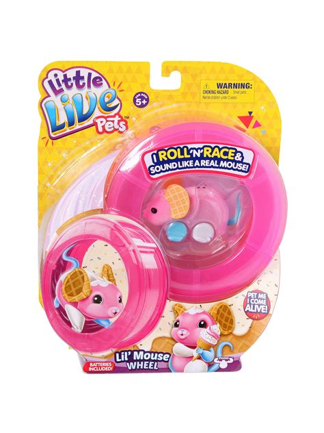 Little Live Pets Lil' Mouse Wheel Pack, Assorted at John ...