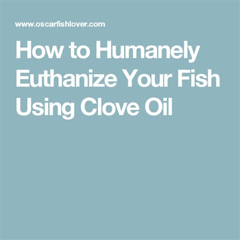 Risk of not fish not dying and waking up later. How to Humanely Euthanize Your Fish Using Clove Oil ...