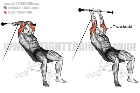 Incline Cable Triceps Extension Exercise Instructions And Video