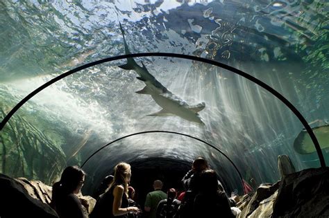 Sea Life Sydney Aquarium Getaboutable