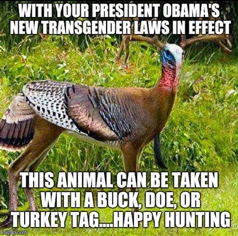 funny turkey hunting memes