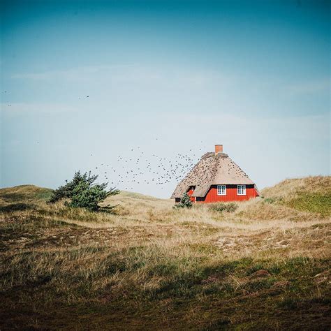 Hier finden sie die besten informationen zu 💸 preisen, 👨‍💻 gehältern, 🌎 reiseführer, 🚶 budget für reisende, 🏠 wohnen. 01_Natur_Duenen_Haus_Stare_Daenemark - Hochzeitsfografin ...