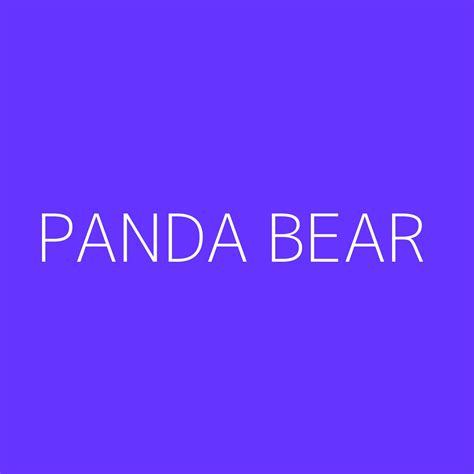 Panda Bear Playlist Most Popular Playlist Kolibri Music
