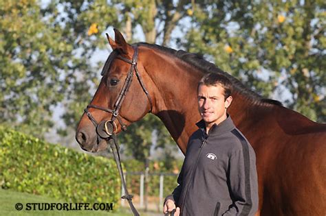 Met wathelet in het zadel won de bij meerdere stamboeken goedgekeurde hengst zilver op het europees kampioenschap van 2015 in aken. Official website of Gregory Wathelet, n°1 showjumping's ...
