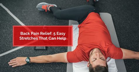 Back Pain Relief 5 Easy Stretches That Can Help Physiomed