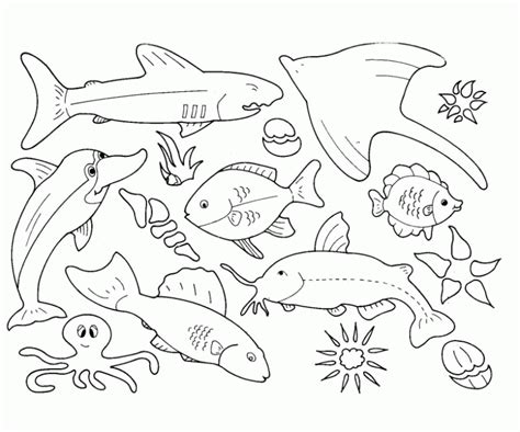 Printable Sea Creatures Coloring Home