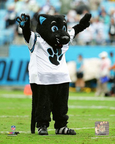 Sir Purr Carolina Panthers Mascot Carolina Panthers Pinterest