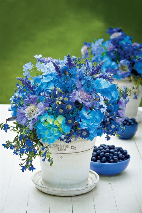 Choose from our collection of florist delivered flower arrangements, plants, gift baskets, balloons, or our other signature items, all designed to deliver a smile today! Flowers Arrangements - Southern Living