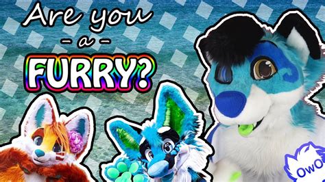 Are You A Furry Owo Youtube