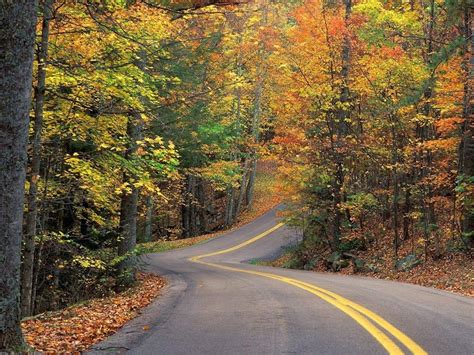 Autumn Road Beautiful Roads Landscape Fall Wallpaper
