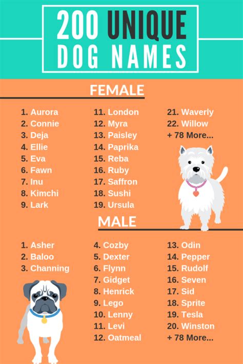 200 Unique Dog Names Male And Female Help Your Dog Stand Out Dog