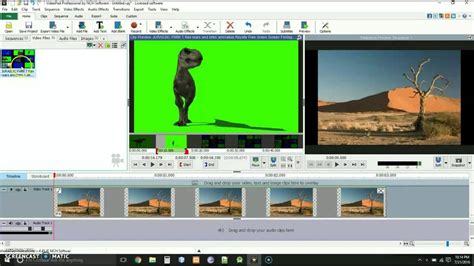 Green Screen Video Editor Simple New Yorker