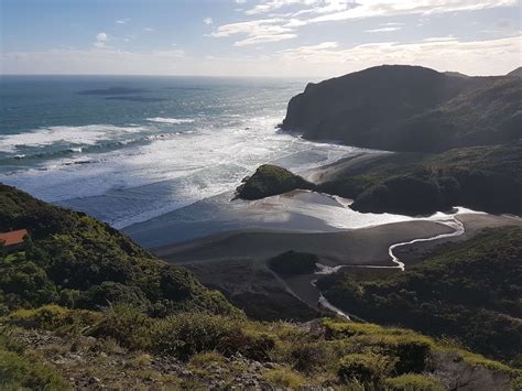 Black Sand Adventure Day Trip From Auckland Waitakere Ranges Tour