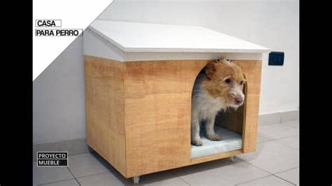 » cuando tienes un perro se generan múltiples inquietudes acerca de cómo preparar la casa para recibir al nuevo integrante de la familia. DIY Casa Para Perro. ( Dog House ) - YouTube