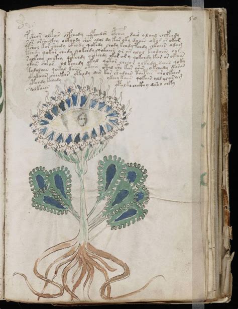 The Voynich Manuscript Free Download Borrow And Streaming