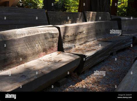 Benches Made From Pine Trees Big Basin Redwoods State Park Santa Cruz