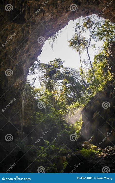 Looking Out From A Cave Stock Image Image Of Trees Shady 49614841