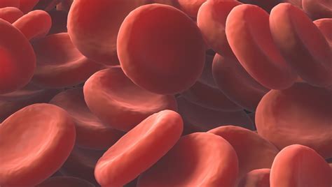 Co to jest anemia czy jest groźna przyczyny leczenie anemii