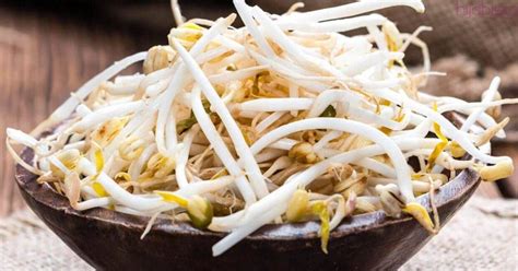 Alat dan bahan menanam tauge. 5 sayuran ini dibenci kanak-kanak... Ketahui cara buat ...