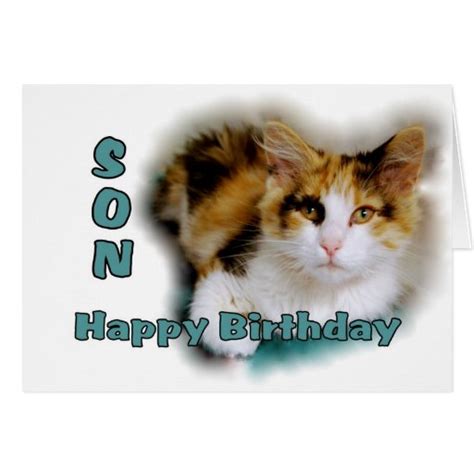 Son Happy Birthday Calico Cat Card Zazzle