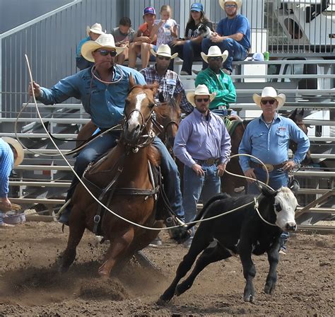 Ogden Pioneer Days Rodeo To Kick Off ‘getting Ready To Go News