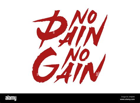 No Pain No Gain Lettering Design Stock Vector Image And Art Alamy