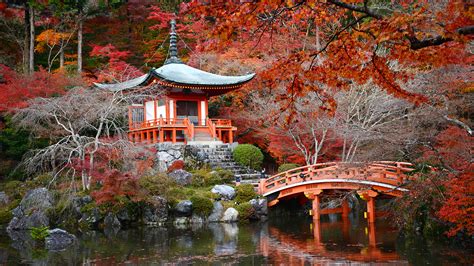 Wallpaper Kyoto Japan Autumn Nature Bridges Pond Gardens 1920x1080