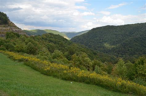 The West Virginia Hills State Symbols Usa