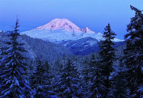 Winter morning with Mount Rainier Photograph by Lynn Hopwood