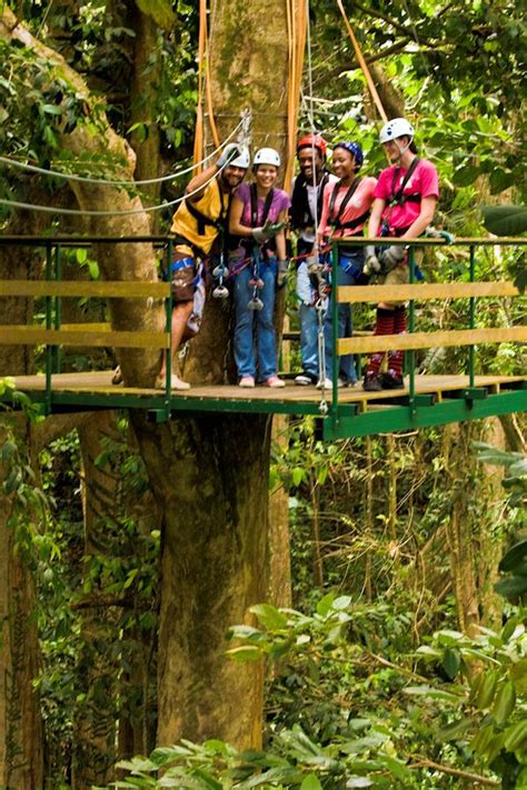 Zip Line Observer Cruise Planning Rappelling Shore Excursions