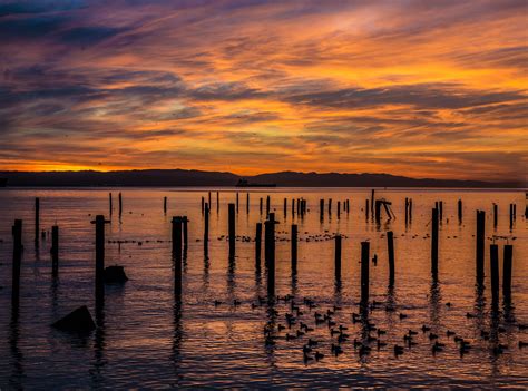 Sunrise and sunset calendar — san francisco, usa. San Francisco Bay Sunrise | San francisco bay, Sunrise ...