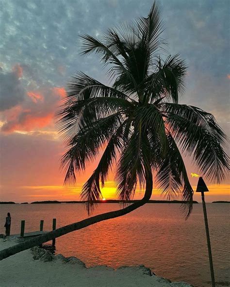 Beautiful Evening In Islamorada Florida In 2020 Beach Photos Beach