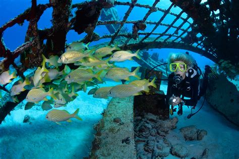 Turks Caicos Islands Maduro Dive Exclusive Scuba Diving Packages