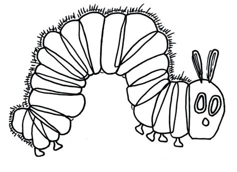 Download Caterpillar To Butterfly Drawing | Free download on ClipArtMag